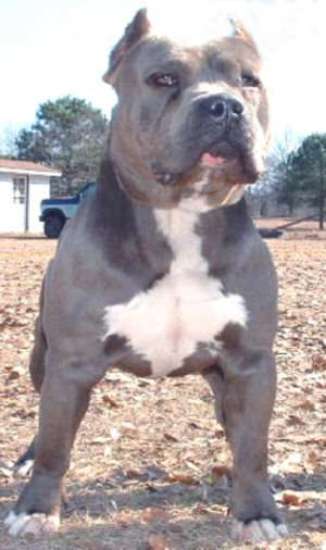 RAZORS EDGE OHOOPEE RIVER OZONE